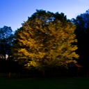 landscape lighting design