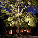 landscape lighting design