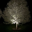 landscape lighting design