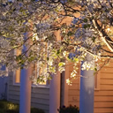 landscape lighting design