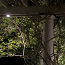 landscape lighting design