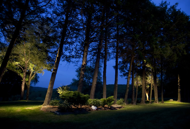 landscape lighting design