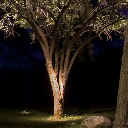 landscape lighting design