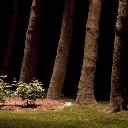 landscape lighting design